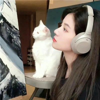 血钻海报